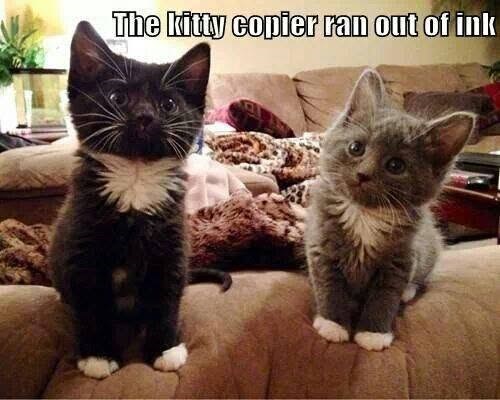 The kitty copier ran out of ink