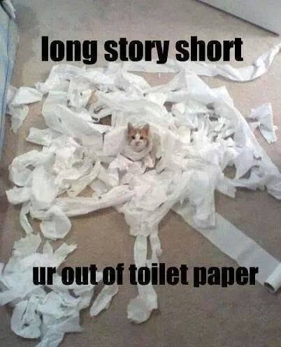 long story short ur out of toilet paper