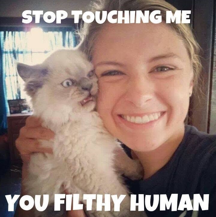 STOP TOUCHING ME YOU FILTHY HUMAN