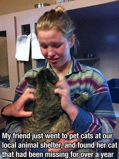 My friend just went to pet cats at our local animal shelter, and found her cat that had been missing for over a year