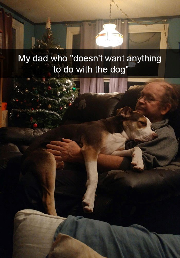 My dad who "doesn't want anything to do with the dog"