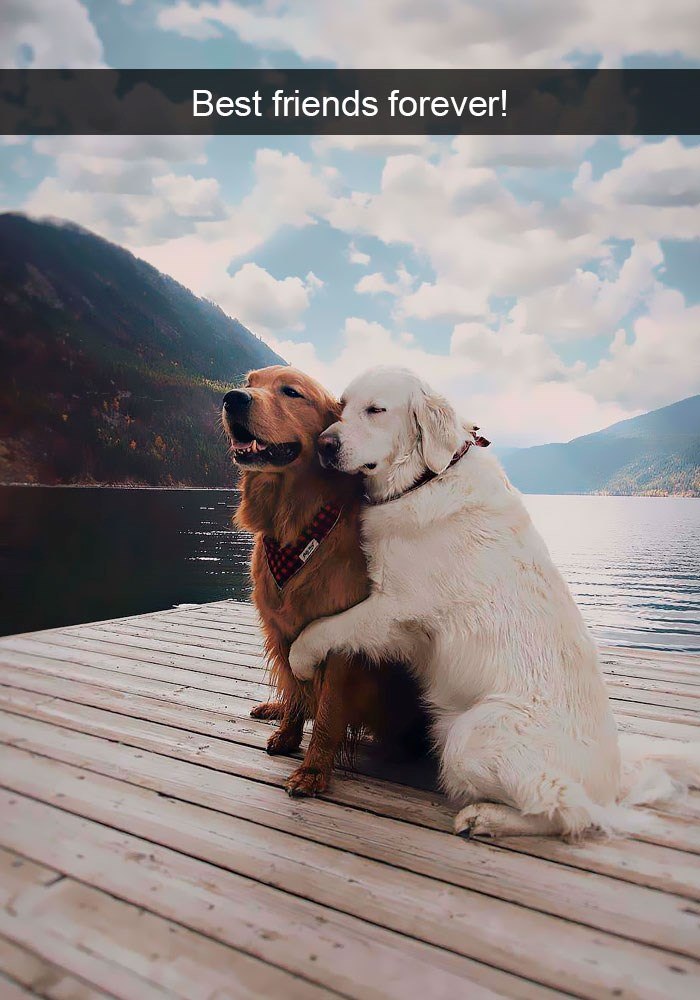 Best friends forever!