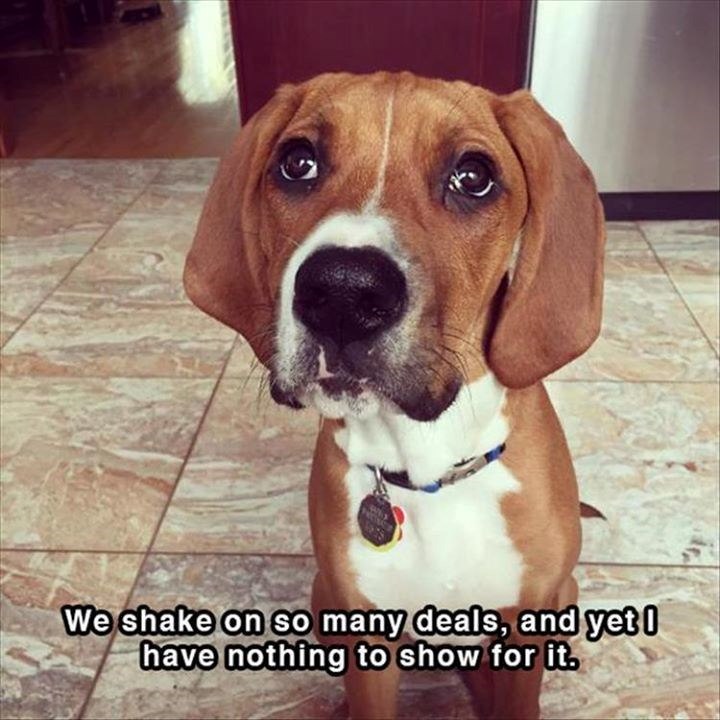We shake on so many deals, and yet I have nothing to show for it.