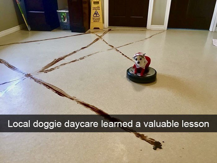CAUTION ATTENTION WET FLOOR PLANCHER Local doggie daycare learned a valuable lesson