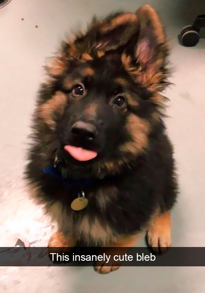This insanely cute bleb