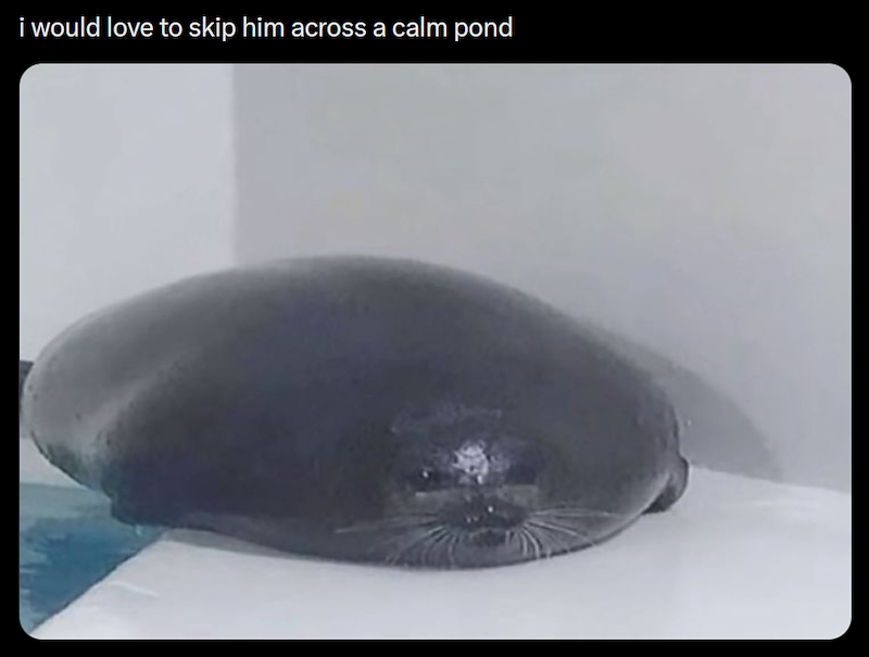i would love to skip him across a calm pond