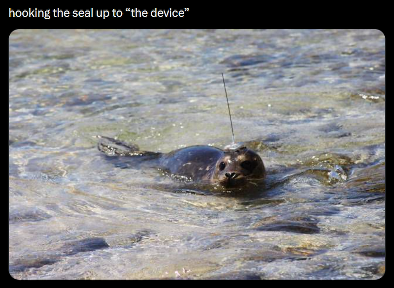hooking the seal up to "the device"