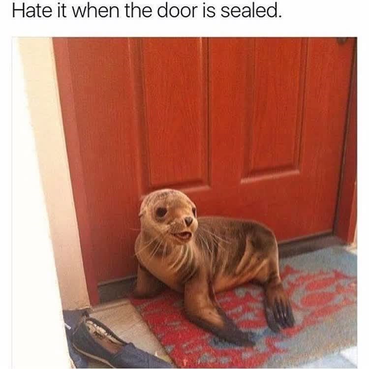 Hate it when the door is sealed.