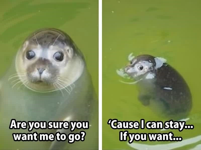 Are you sure you want me to go? 'Cause I can stay... If you want...