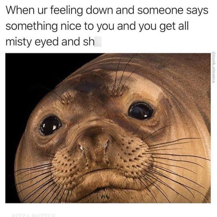 When ur feeling down and someone says something nice to you and you get all misty eyed and sh RIZZA ROTTLE @tank.sinatra