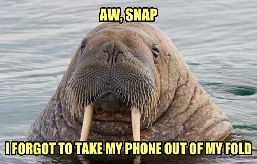AW, SNAP IFORGOT TO TAKE MY PHONE OUT OF MY FOLD