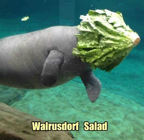 Walrusdorf Salad