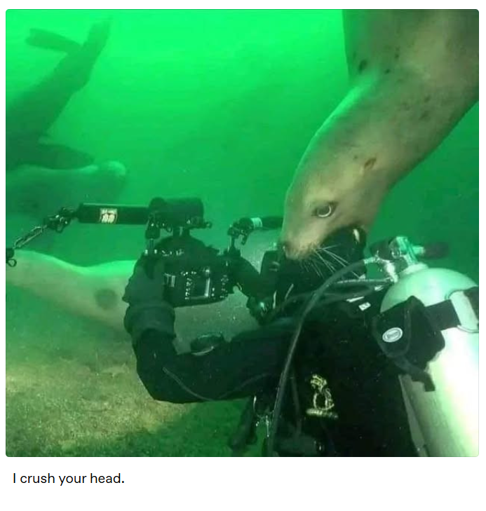 I crush your head.