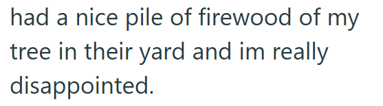 had a nice pile of firewood of my tree in their yard and im really disappointed.
