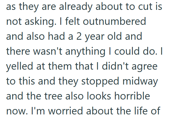 as they are already about to cut is not asking. I felt outnumbered and also had a 2 year old and there wasn't anything I could do. I yelled at them that I didn't agree to this and they stopped midway and the tree also looks horrible now. I'm worried about the life of