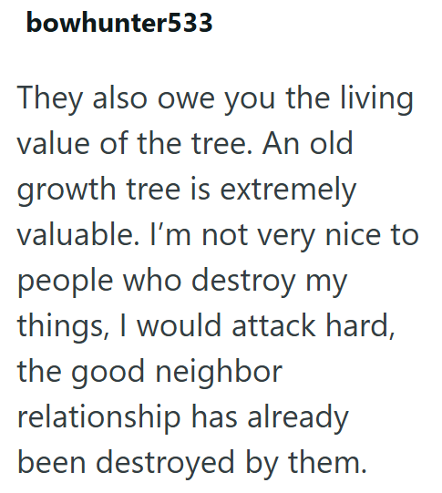 bowhunter533 They also owe you the living value of the tree. An old growth tree is extremely valuable. I'm not very nice to people who destroy my things, I would attack hard, the good neighbor relationship has already been destroyed by them.