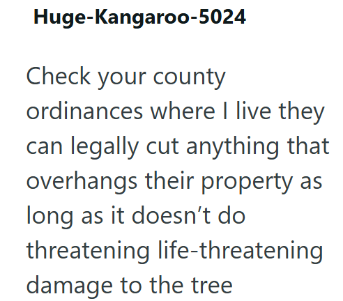 Huge-Kangaroo-5024 Check your county ordinances where I live they can legally cut anything that overhangs their property as long as it doesn't do threatening life-threatening damage to the tree