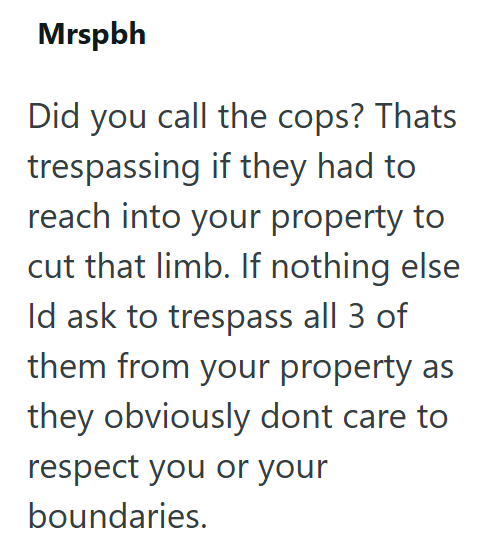 Mrspbh Did you call the cops? Thats trespassing if they had to reach into your property to cut that limb. If nothing else Id ask to trespass all 3 of them from your property as they obviously dont care to respect you or your boundaries.
