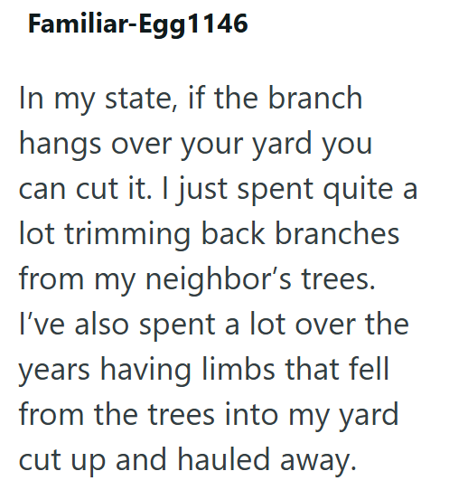 Familiar-Egg1146 In my state, if the branch hangs over your yard you can cut it. I just spent quite a lot trimming back branches from my neighbor's trees. I've also spent a lot over the years having limbs that fell from the trees into my yard cut up and hauled away.