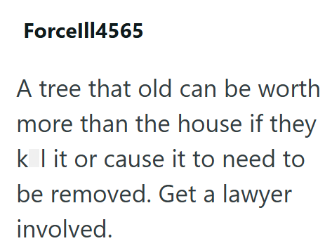 Forcell|4565 A tree that old can be worth more than the house if they kit or cause it to need to be removed. Get a lawyer involved.