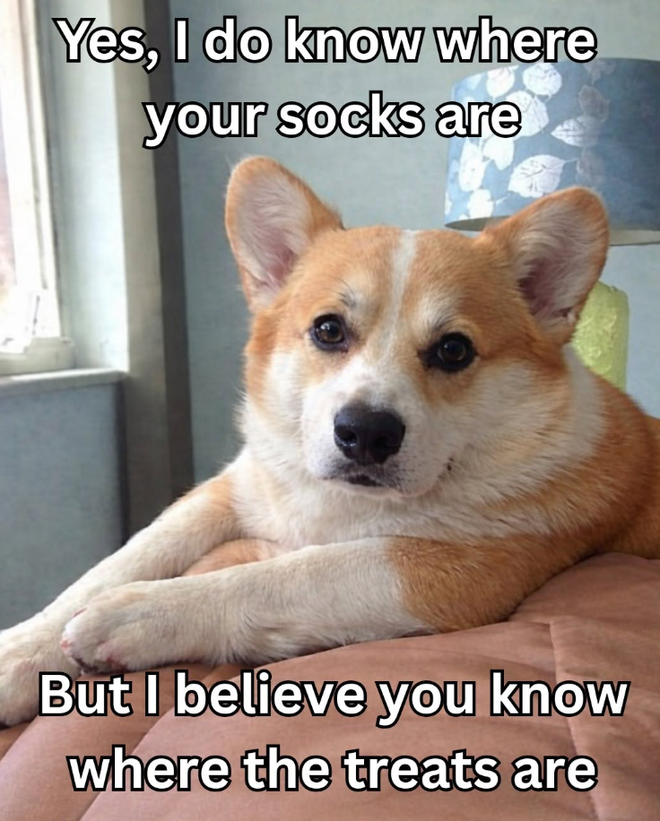 Yes, I do know where your socks are But I believe you know where the treats are