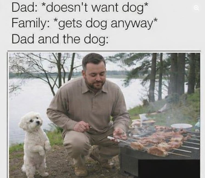 Dad: *doesn't want dog* Family: *gets dog anyway* Dad and the dog: