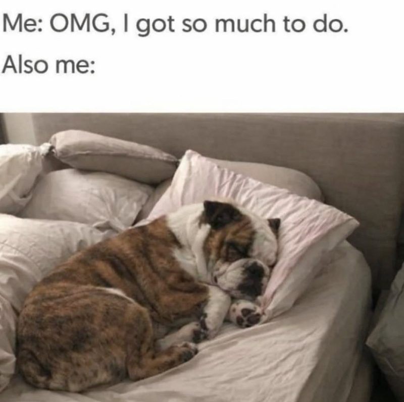 Me: OMG, I got so much to do. Also me: W