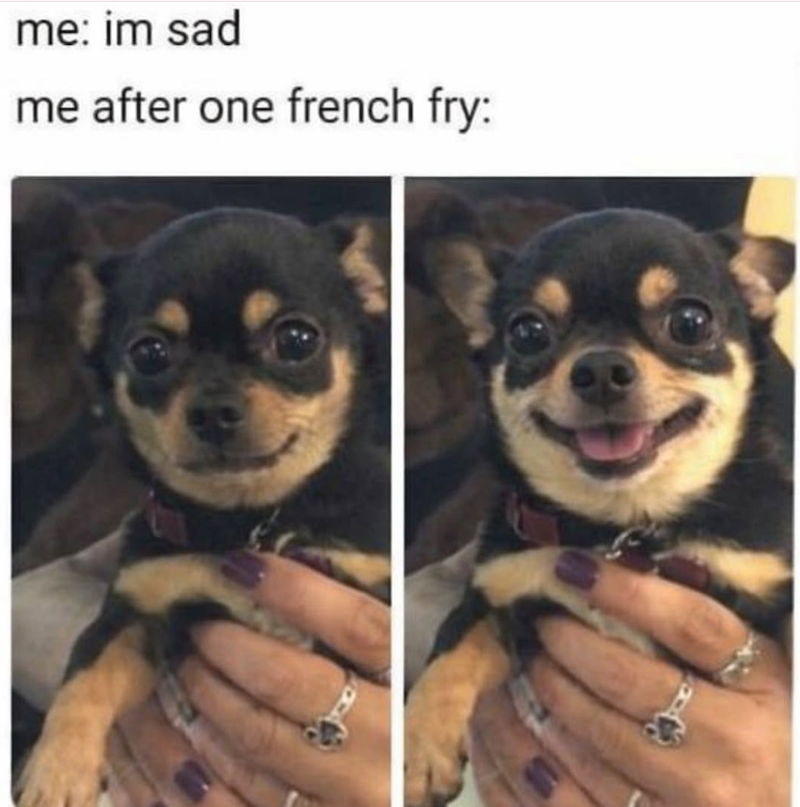 me: im sad me after one french fry: