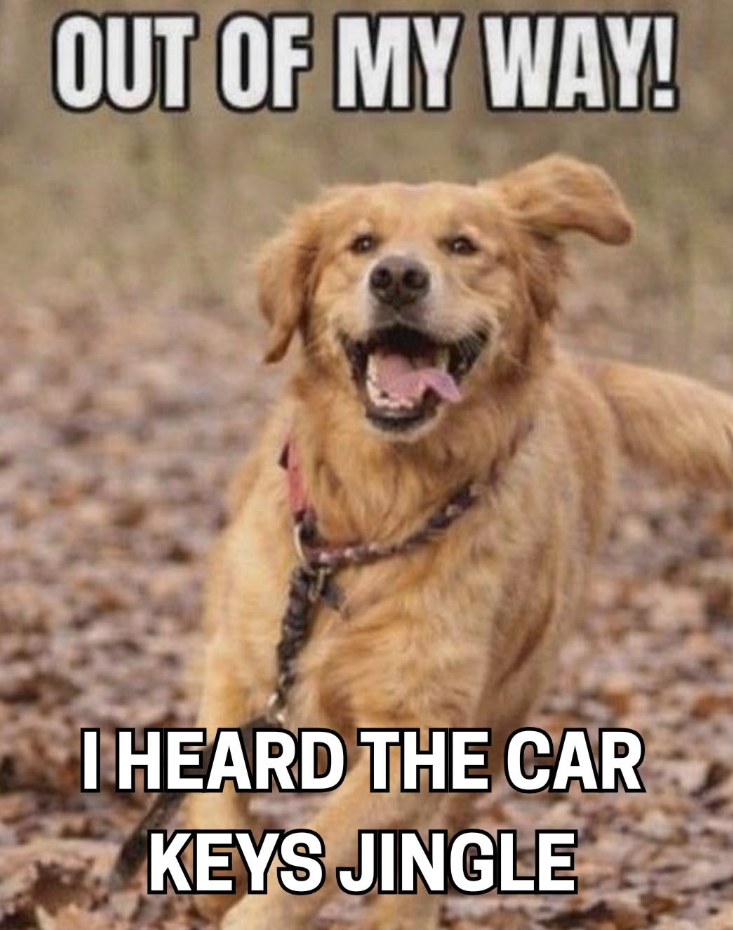 OUT OF MY WAY! I HEARD THE CAR KEYS JINGLE
