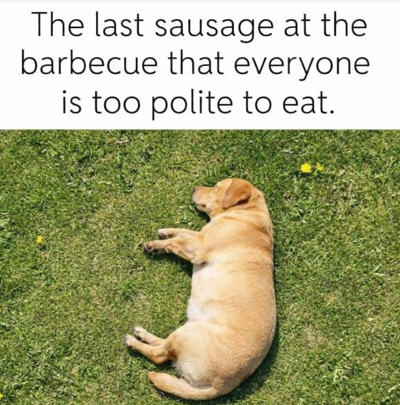 The last sausage at the barbecue that everyone is too polite to eat.