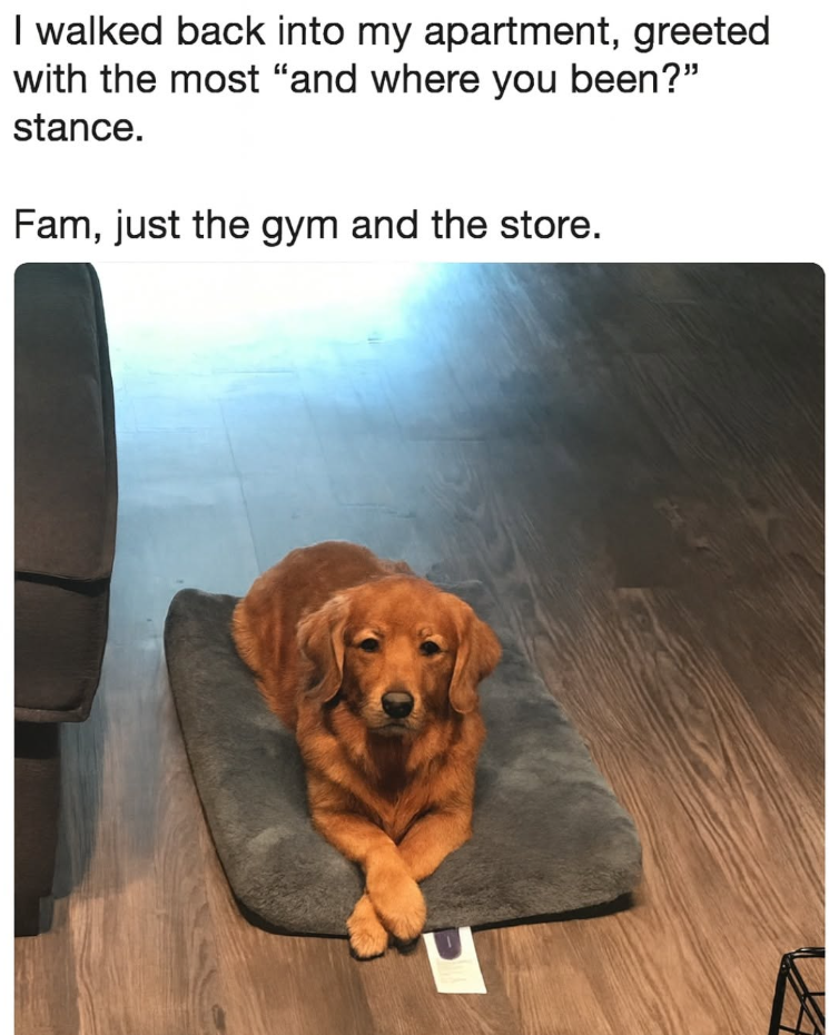I walked back into my apartment, greeted with the most "and where you been?" stance. Fam, just the gym and the store.