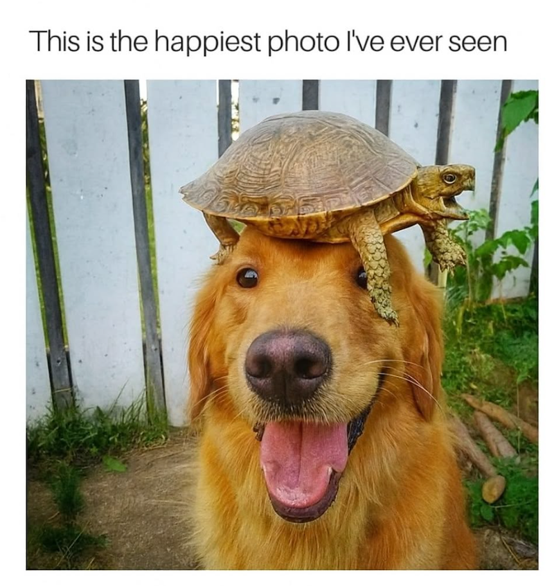 This is the happiest photo I've ever seen