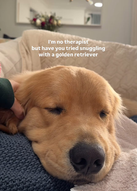 I'm no therapist but have you tried snuggling with a golden retriever