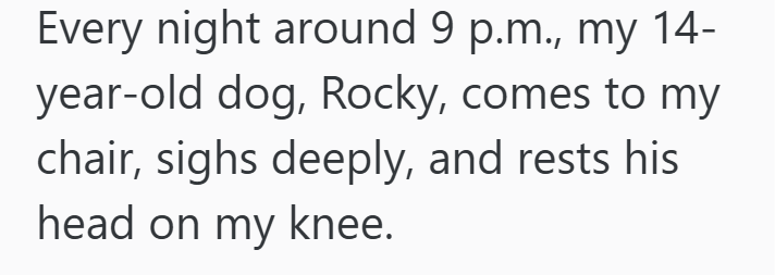 Every night around 9 p.m., my 14- year-old dog, Rocky, comes to my chair, sighs deeply, and rests his head on my knee.