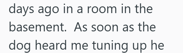 days ago in a room in the basement. As soon as the dog heard me tuning up he