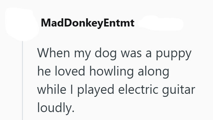 MadDonkeyEntmt When my dog was a puppy he loved howling along while I played electric guitar loudly.