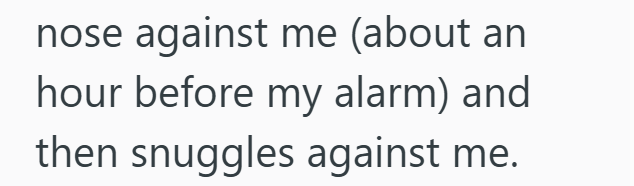 nose against me (about an hour before my alarm) and then snuggles against me.