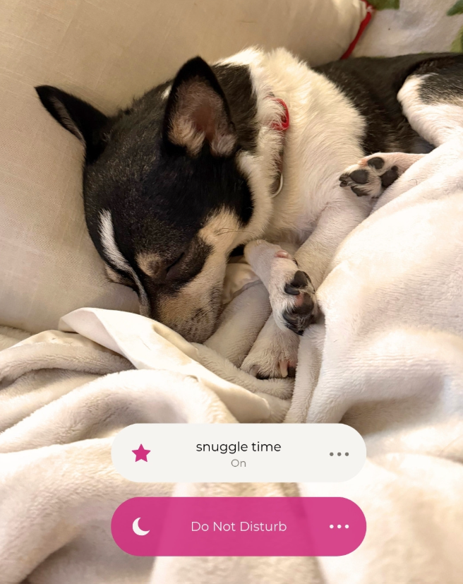 snuggle time On Do Not Disturb