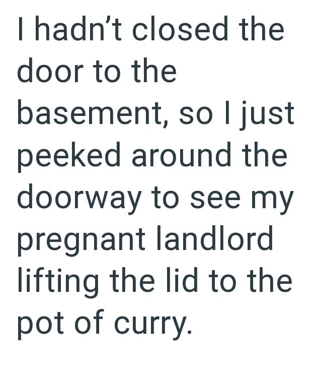 I hadn't closed the door to the basement, so I just peeked around the doorway to see my pregnant landlord lifting the lid to the pot of curry.