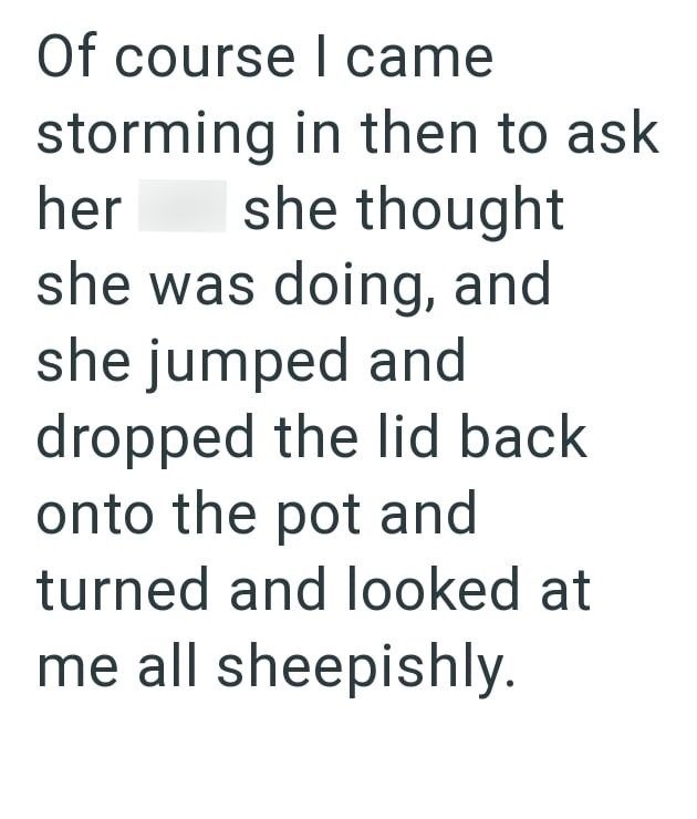 Of course I came storming in then to ask her she thought she was doing, and she jumped and dropped the lid back onto the pot and turned and looked at me all sheepishly.