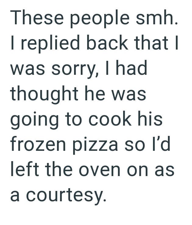These people smh. I replied back that I was sorry, I had thought he was going to cook his frozen pizza so I'd left the oven on as a courtesy.