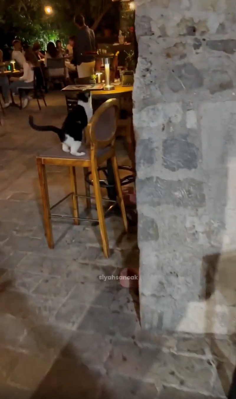 siyahsancak