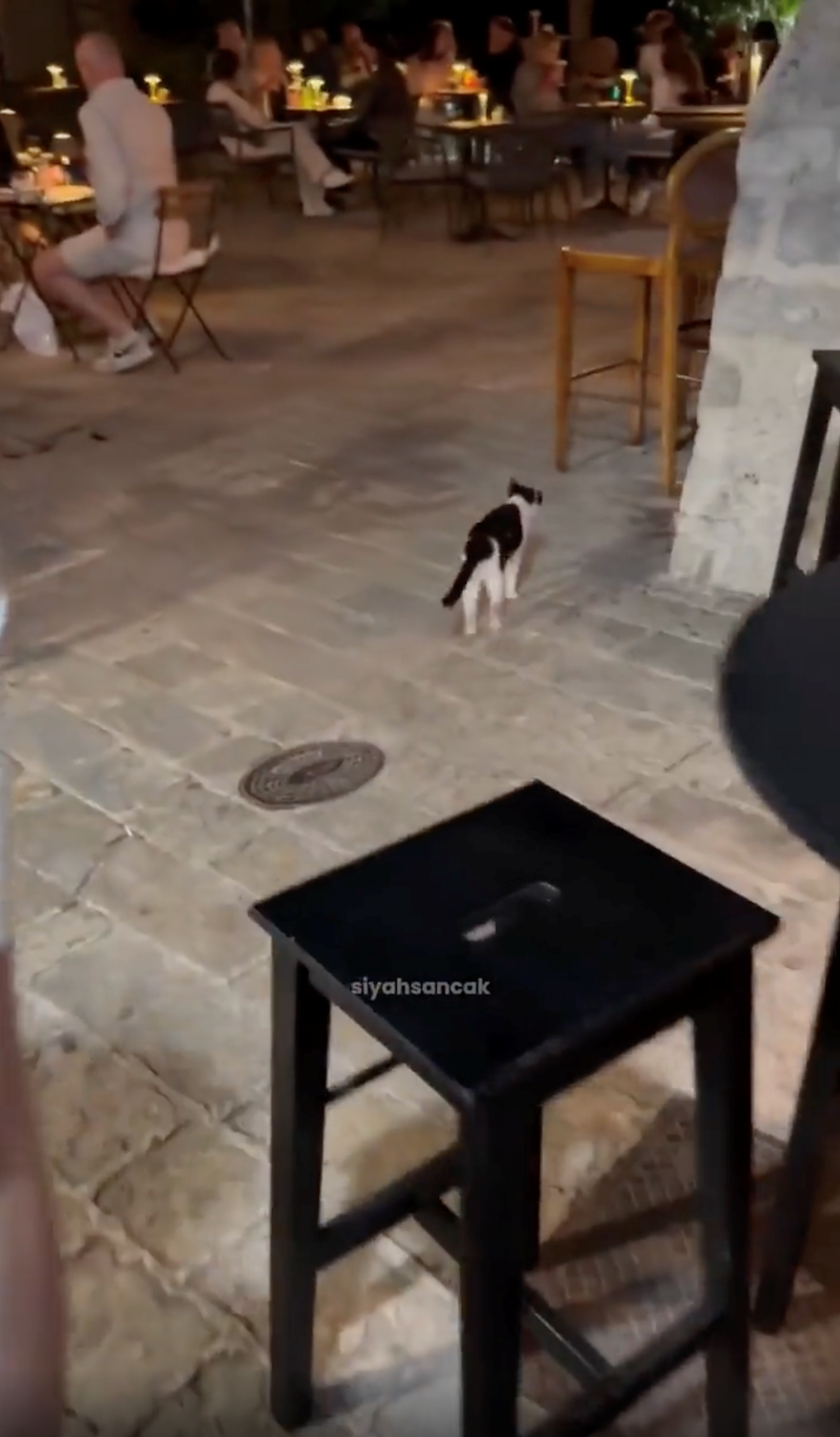 siyahsancak