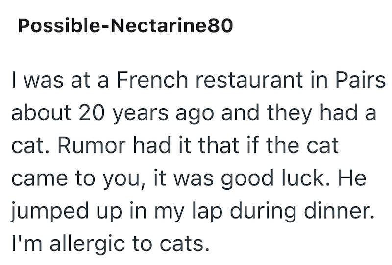 Possible-Nectarine80 I was at a French restaurant in Pairs about 20 years ago and they had a cat. Rumor had it that if the cat came to you, it was good luck. He jumped up in my lap during dinner. I'm allergic to cats.