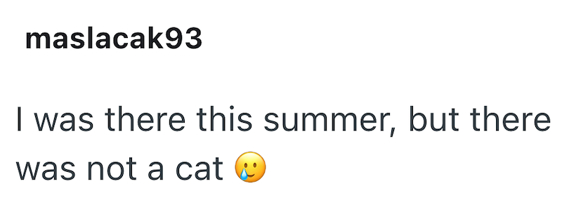 maslacak93 I was there this summer, but there was not a cat ✓