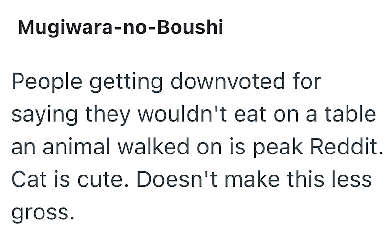 Mugiwara-no-Boushi People getting downvoted for saying they wouldn't eat on a table an animal walked on is peak Reddit. Cat is cute. Doesn't make this less gross.