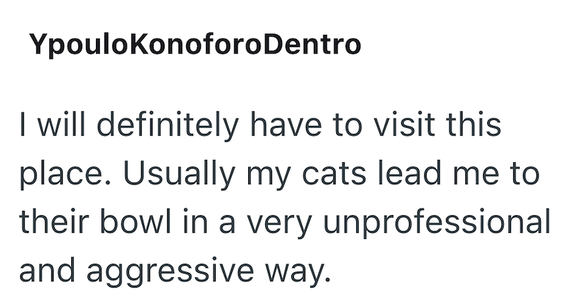 YpouloKonoforoDentro I will definitely have to visit this place. Usually my cats lead me to their bowl in a very unprofessional and aggressive way.