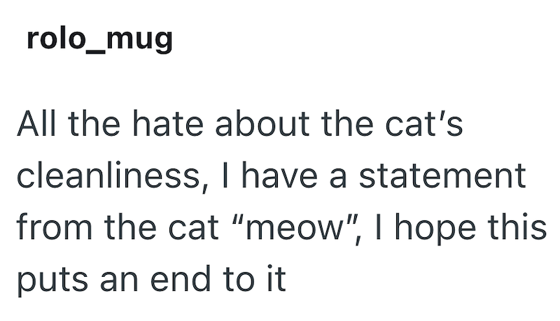 rolo_mug All the hate about the cat's cleanliness, I have a statement from the cat "meow", I hope this puts an end to it