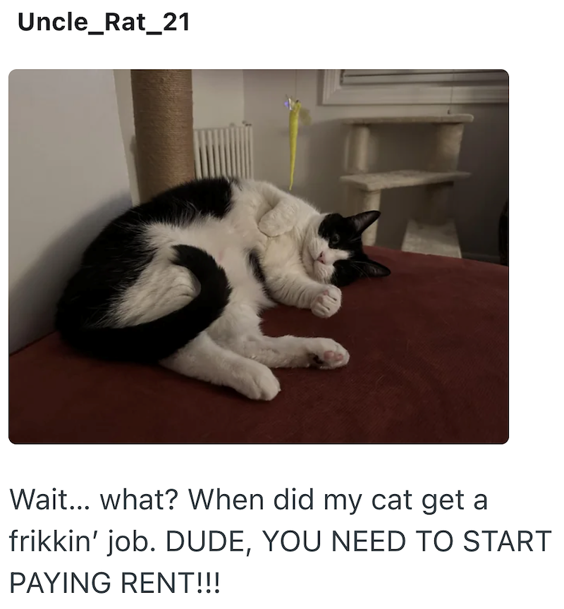 Uncle_Rat_21 Wait... what? When did my cat get a frikkin' job. DUDE, YOU NEED TO START PAYING RENT!!!