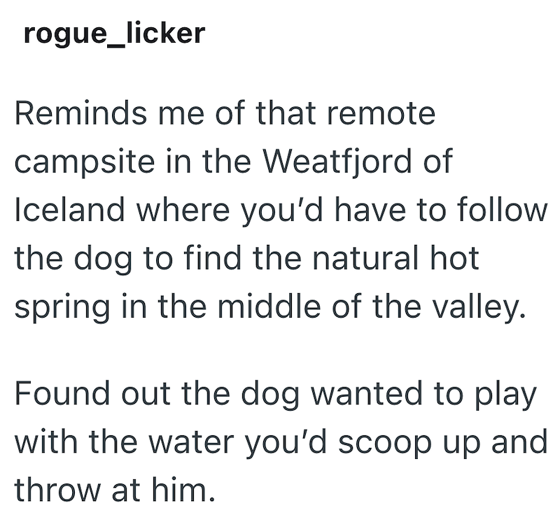 rogue_licker Reminds me of that remote campsite in the Weatfjord of Iceland where you'd have to follow the dog to find the natural hot spring in the middle of the valley. Found out the dog wanted to play with the water you'd scoop up and throw at him.